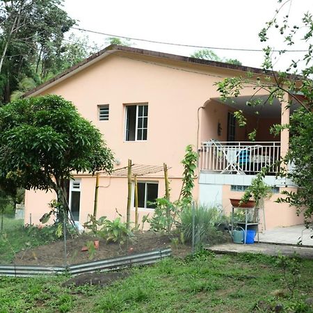 Maison Lavanne Saint-Joseph Dış mekan fotoğraf