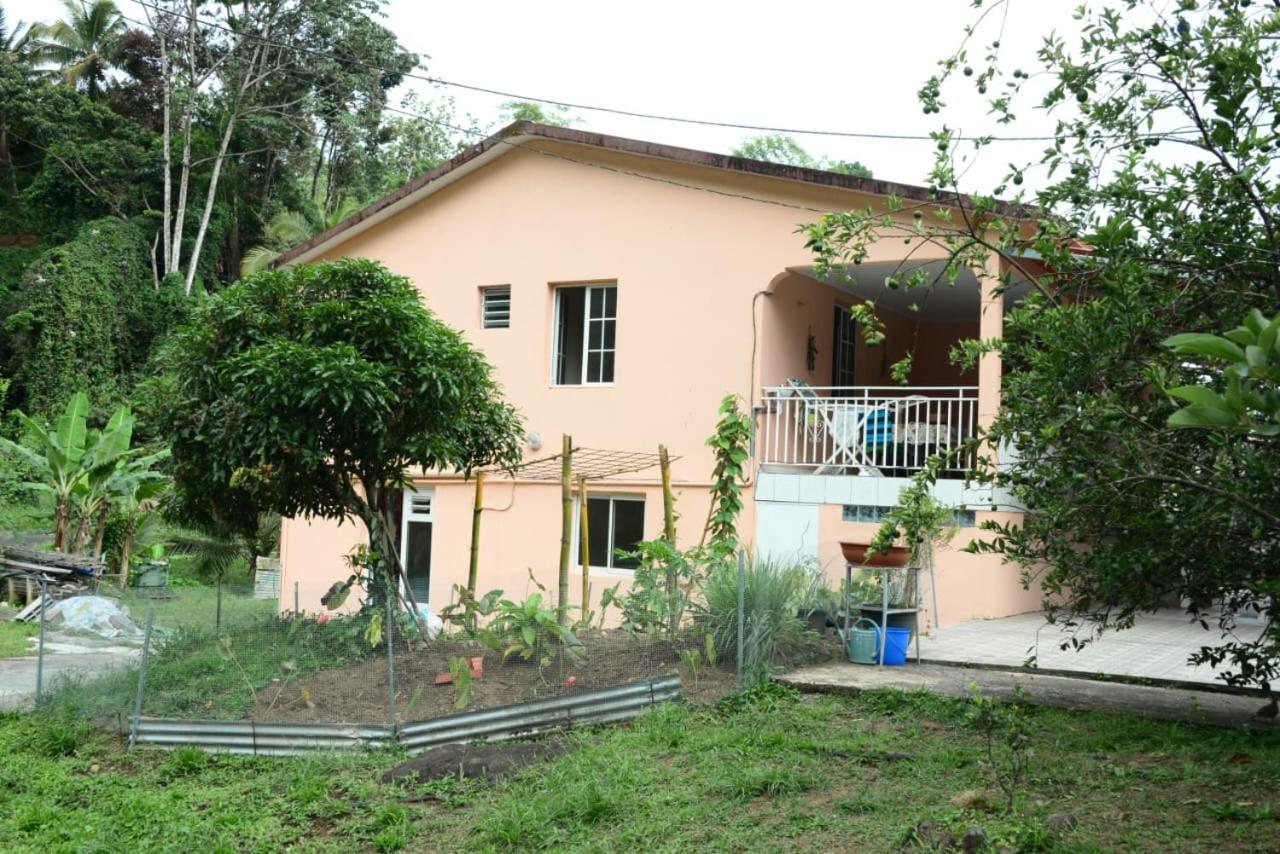 Maison Lavanne Saint-Joseph Dış mekan fotoğraf